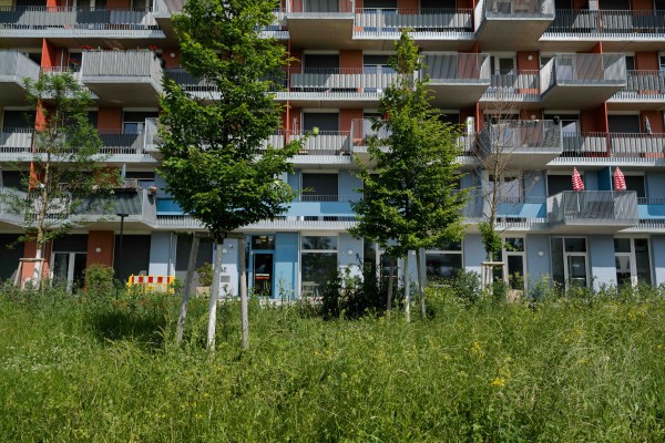 Gemeindebau am Elinor-Ostrom-Park